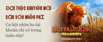 Trải Nghiệm Casino Đẳng Cấp banner image